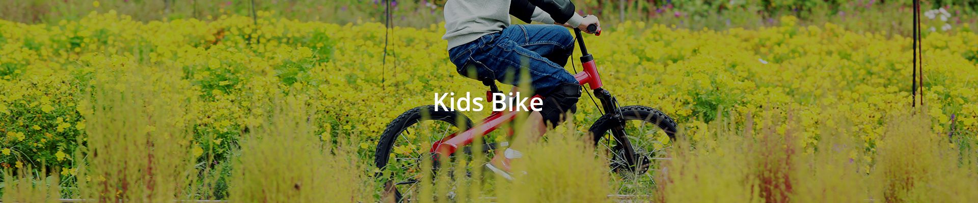 Segway Kids Bikes
